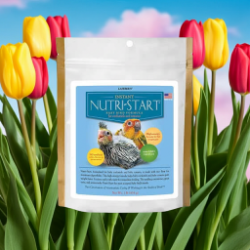 Lady Gouldian Finch Hand Feeding Formula - Lafeber Nutristart - Baby Bird Formula
